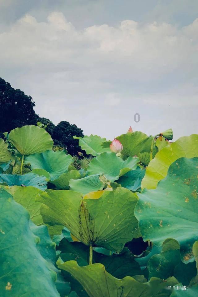数字计算游戏